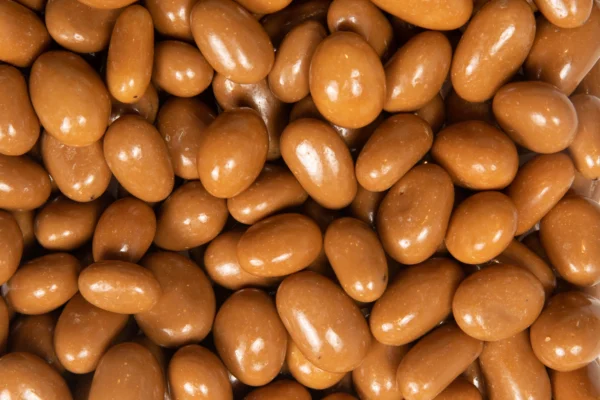 CANNEBERGES -CHOCOLAT DULCEY